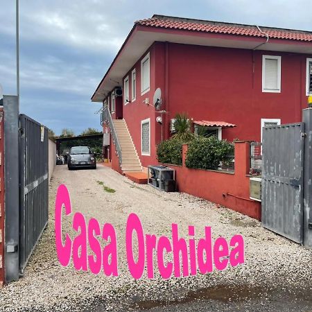 Apartmán Casa Orchidea Fiumicino Exteriér fotografie